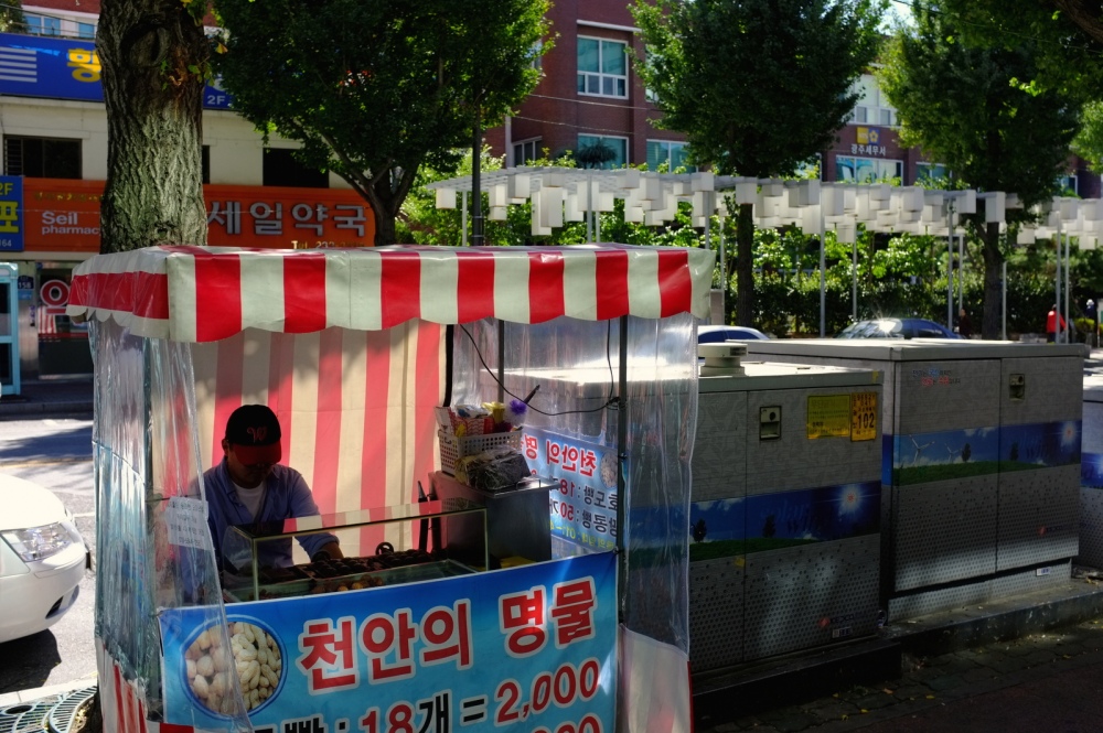 A Gwangju street vendor, with Open Wall in the background